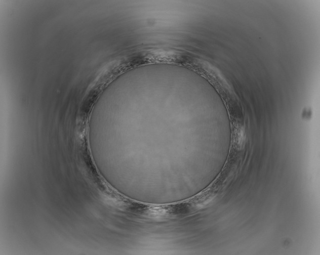 X0000091980701200709201427