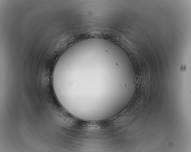 X0000091980702200709201426