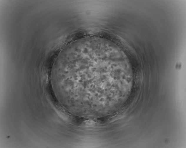 X0000091980703200709201426