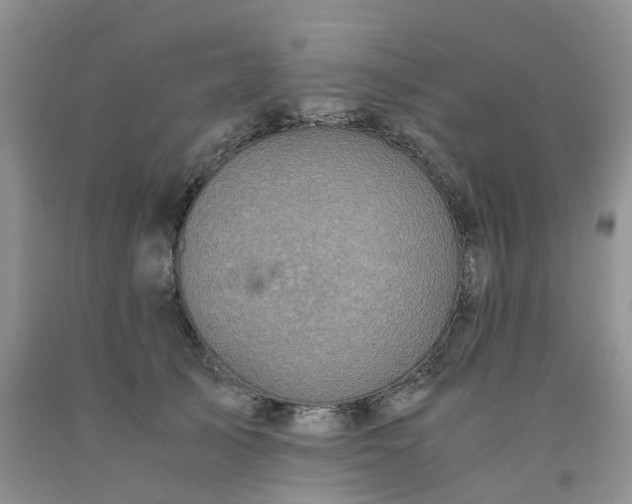 X0000091980705200709201426