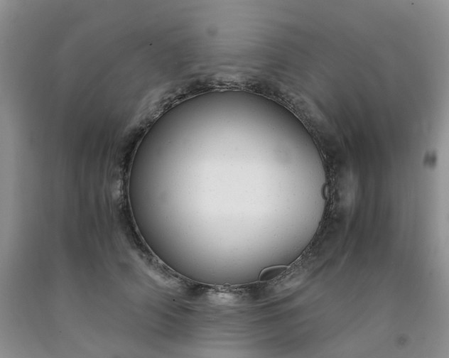 X0000091980706200709201426