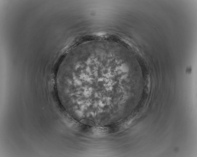 X0000091980707200709201426