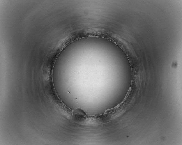 X0000091980708200709201426