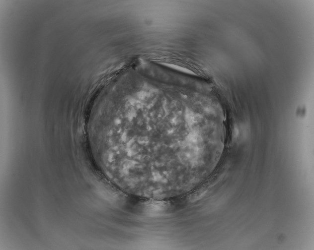 X0000091980711200709201426