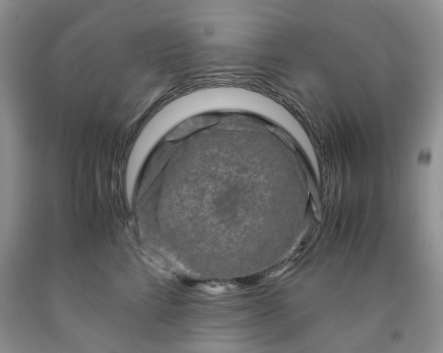 X0000091980712200709201426