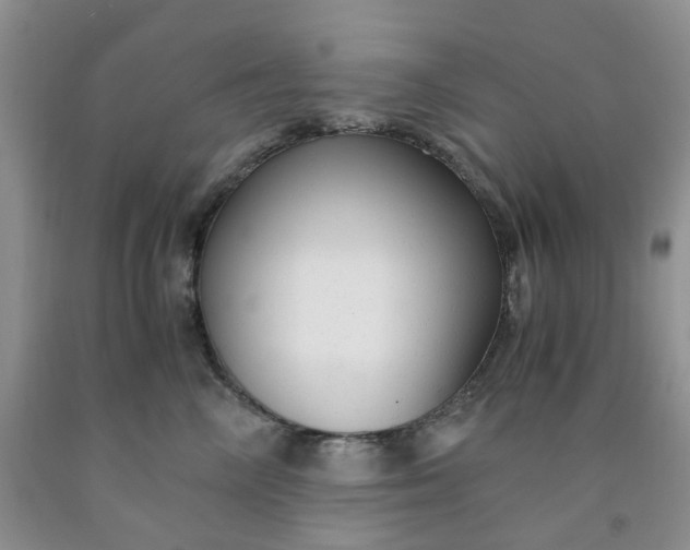 X0000091980714200709201426