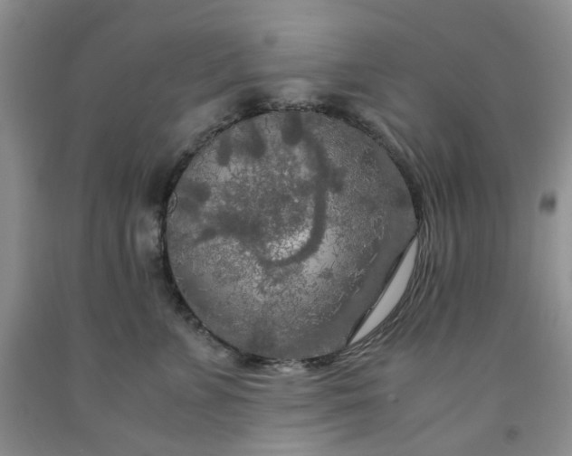 X0000091980715200709201426