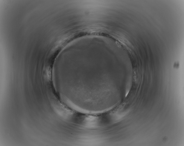 X0000091980718200709201426