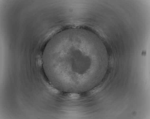 X0000091980719200709201426