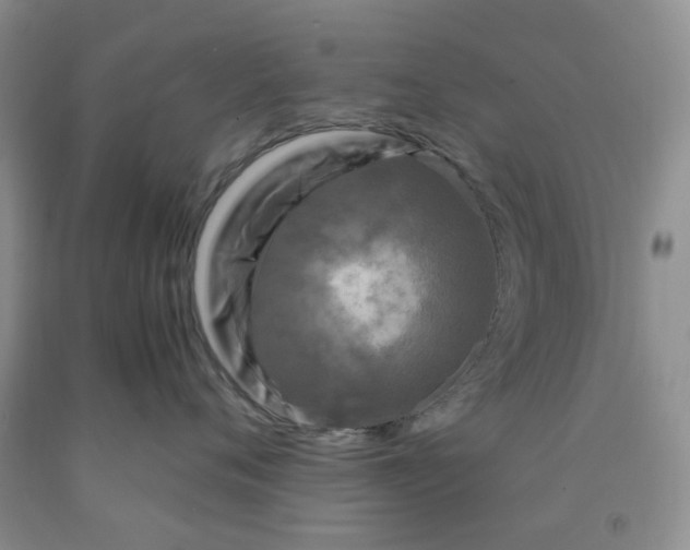 X0000091980720200709201426