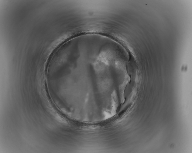 X0000091980721200709201426