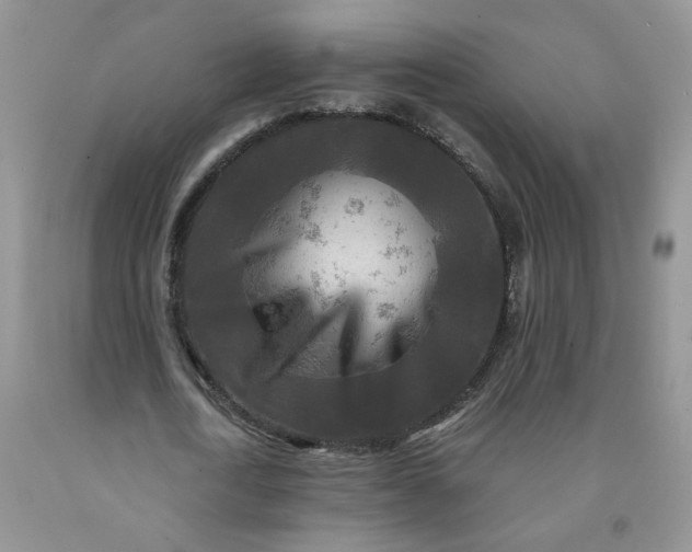 X0000091980722200709201426