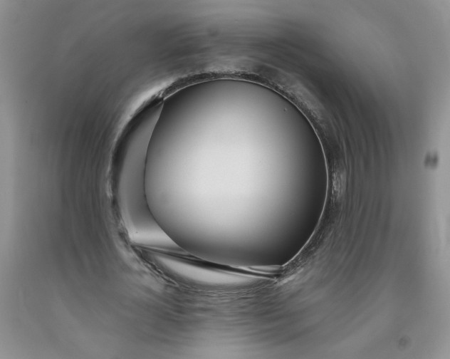 X0000091980724200709201426