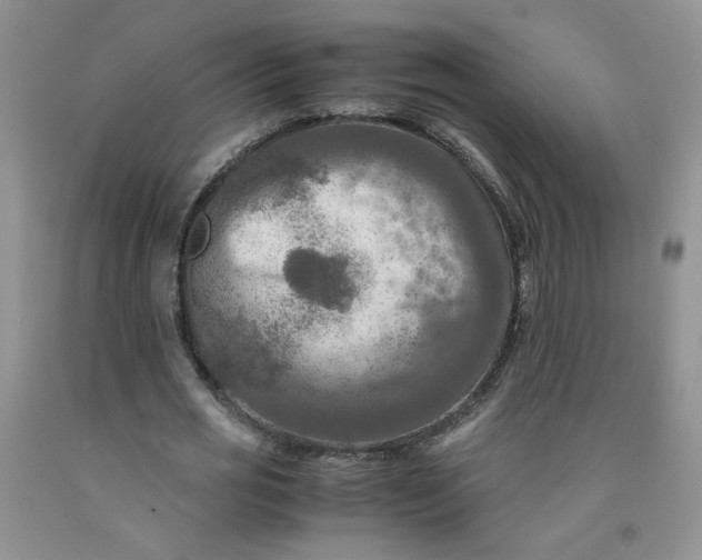 X0000091980725200709201426