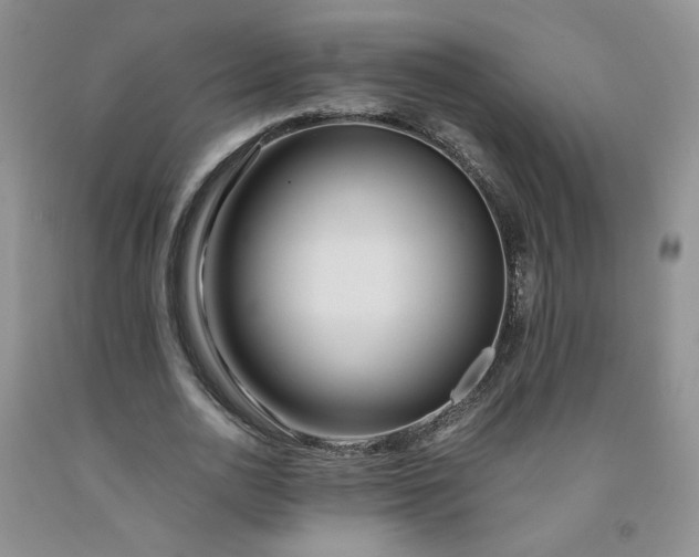 X0000091980726200709201426