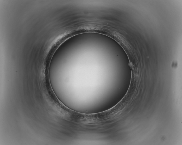 X0000091980727200709201426