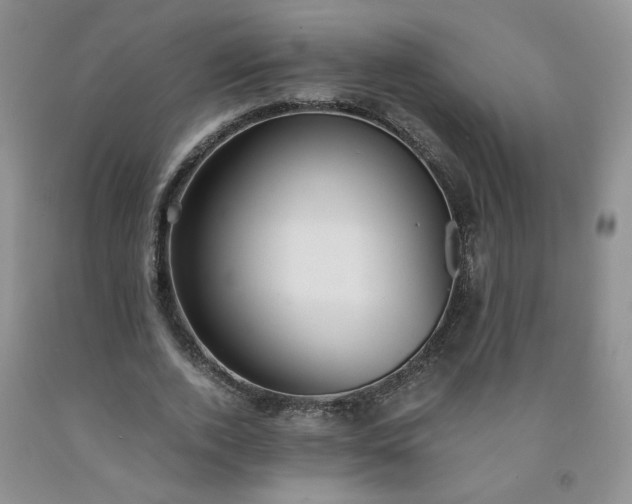 X0000091980728200709201426