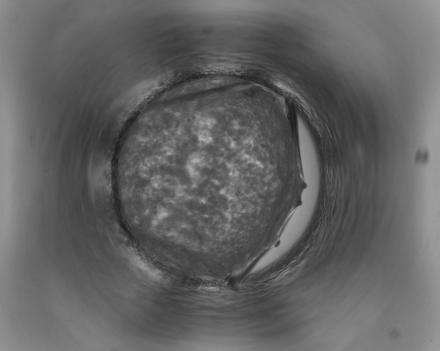 X0000091980729200709201426