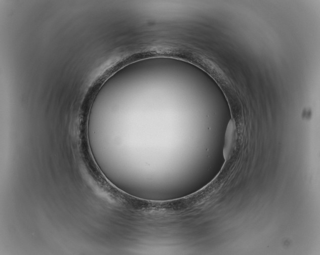 X0000091980730200709201426