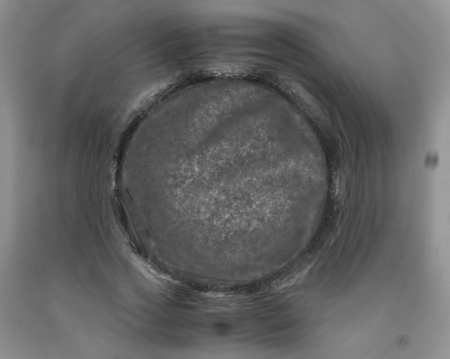 X0000091980733200709201426