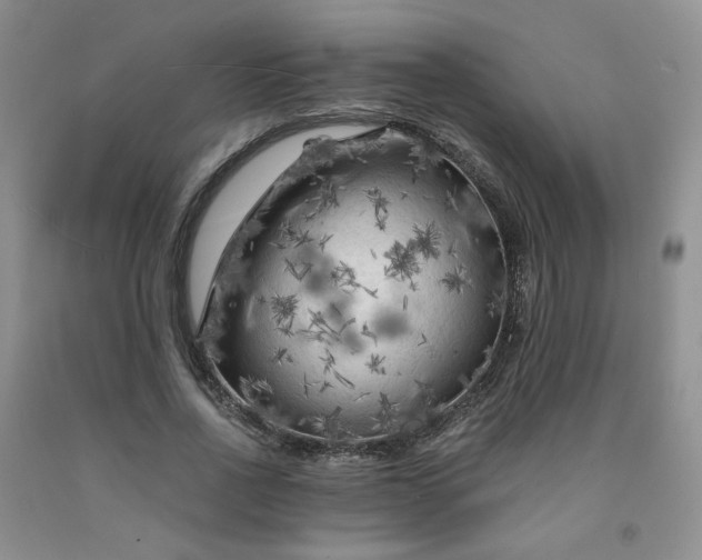 X0000091980734200709201426