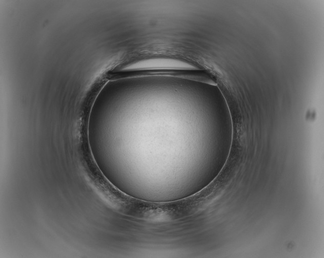 X0000091980735200709201426