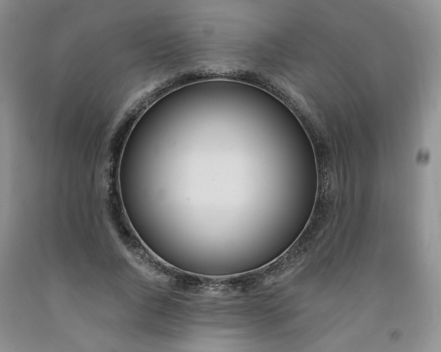 X0000091980736200709201426