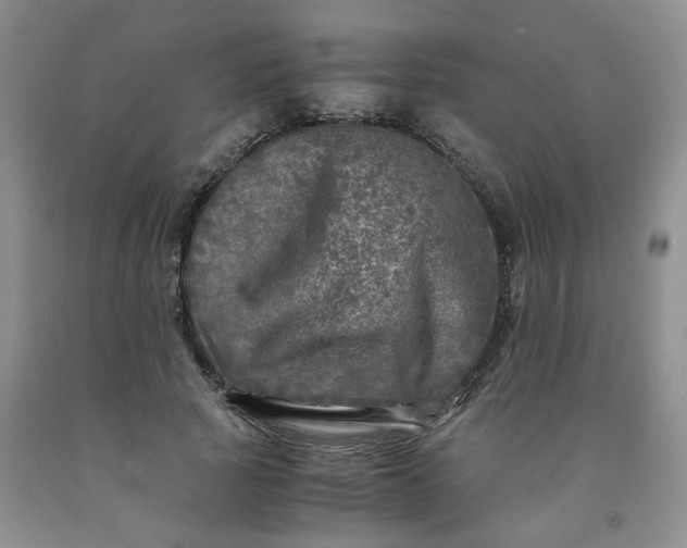 X0000091980737200709201426