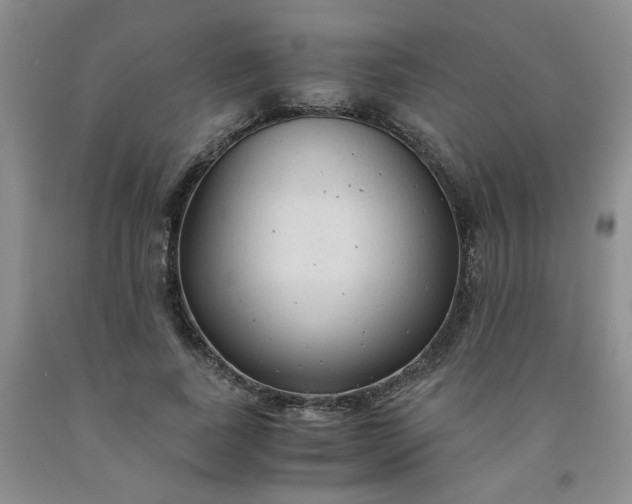 X0000091980739200709201426