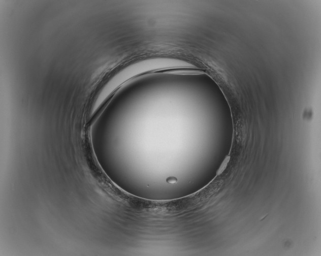 X0000091980740200709201426