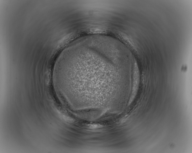 X0000091980741200709201426