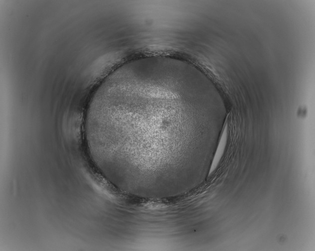 X0000091980742200709201426