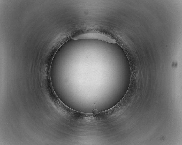 X0000091980744200709201426