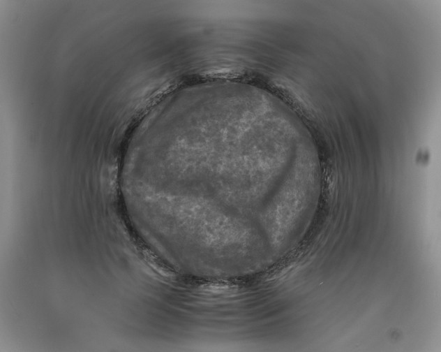 X0000091980745200709201426