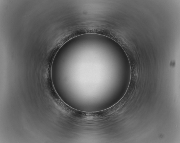 X0000091980746200709201426