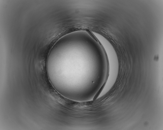 X0000091980747200709201426