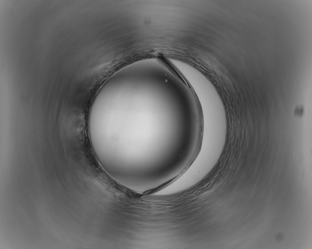 X0000091980748200709201426