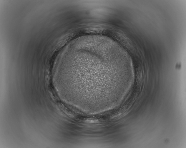 X0000091980749200709201426