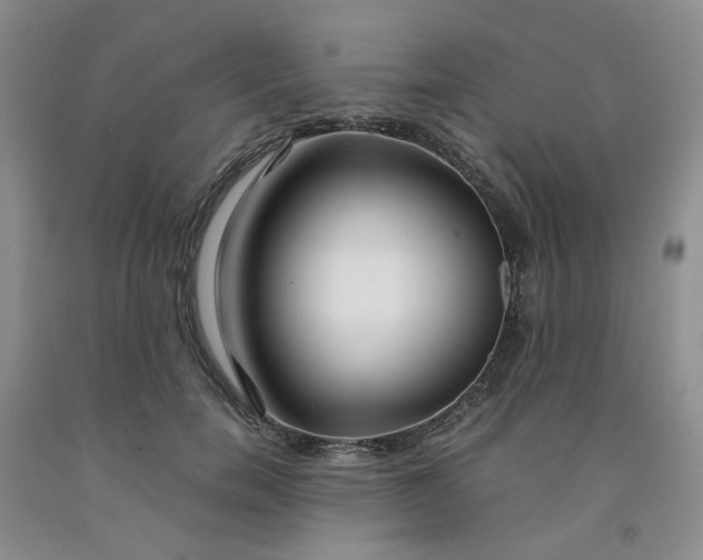 X0000091980750200709201426