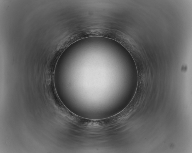 X0000091980751200709201426