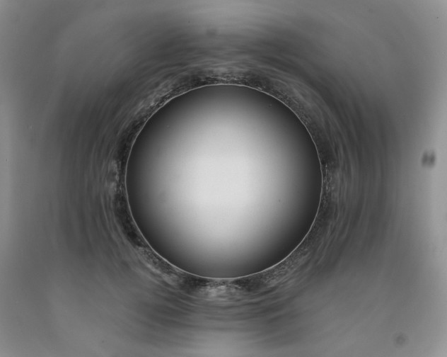 X0000091980752200709201426