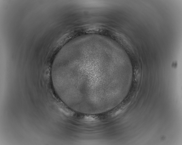 X0000091980753200709201426