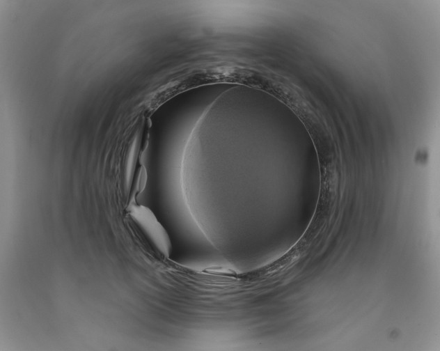 X0000091980754200709201426