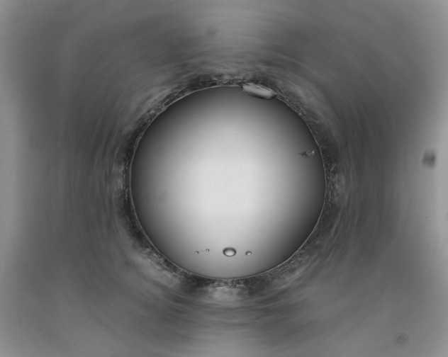 X0000091980756200709201426