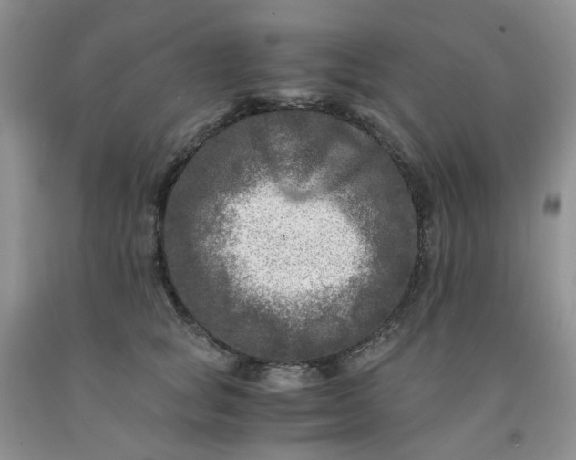 X0000091980757200709201426