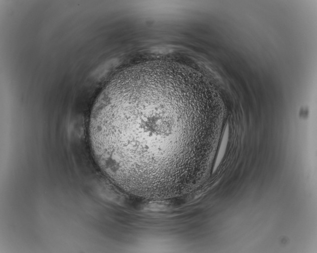 X0000091980758200709201426