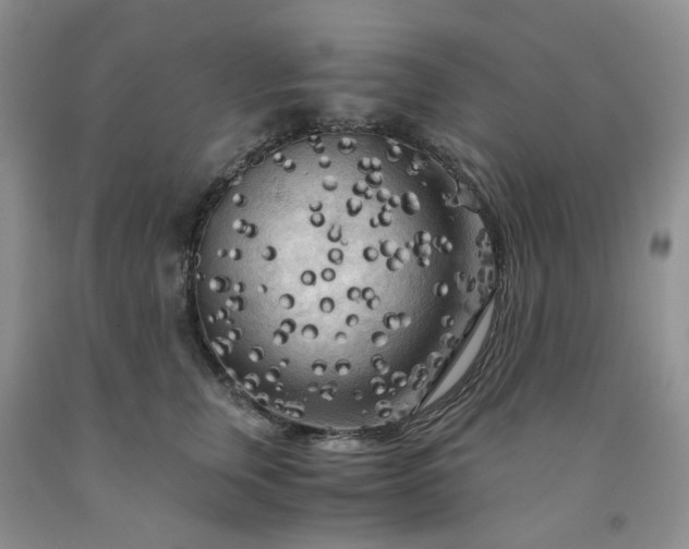 X0000091980759200709201426