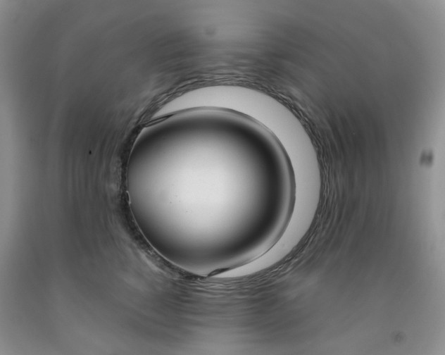 X0000091980760200709201426