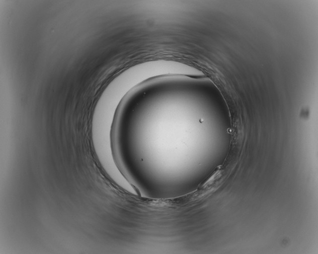 X0000091980762200709201426