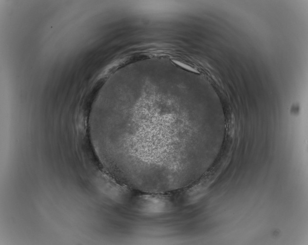 X0000091980763200709201426